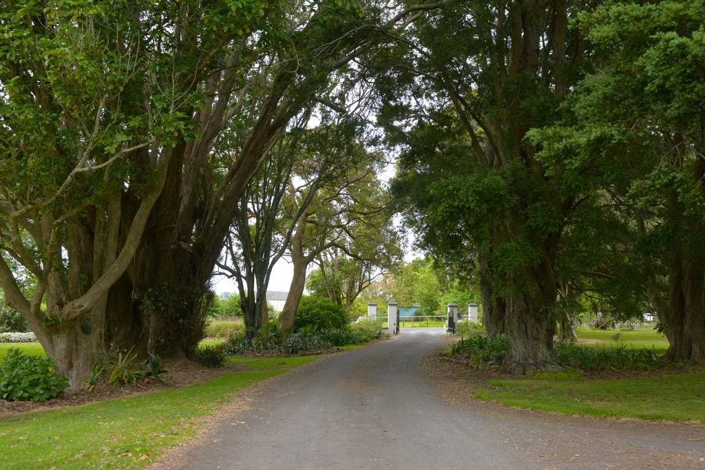 Lavalla Estate ξενώνας Tuakau Εξωτερικό φωτογραφία