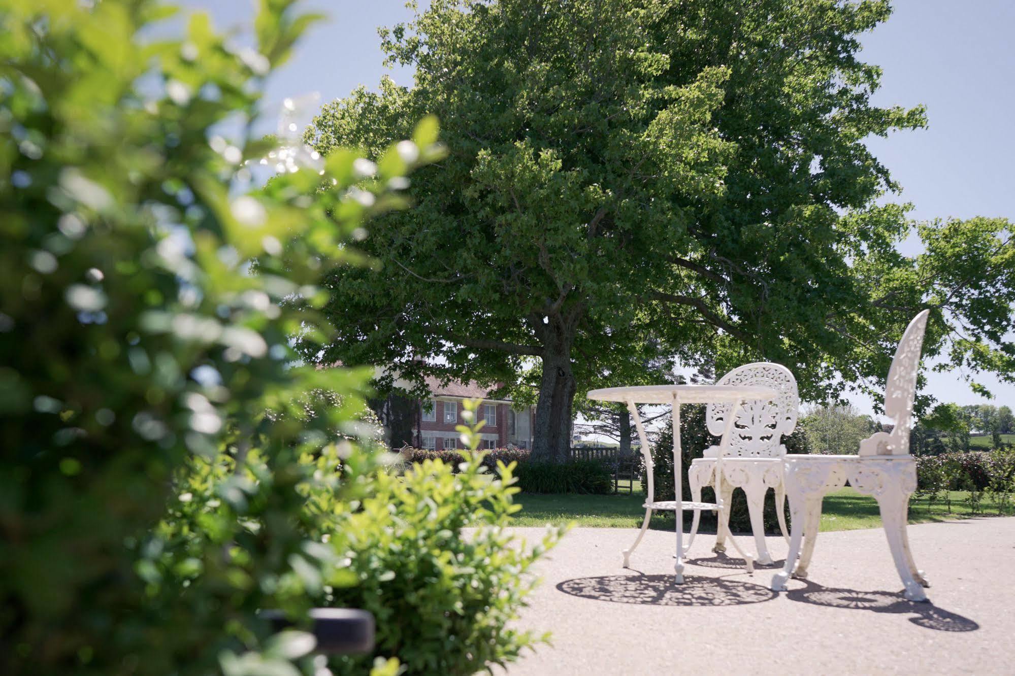 Lavalla Estate ξενώνας Tuakau Εξωτερικό φωτογραφία